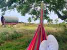 Relaxing on the hammock