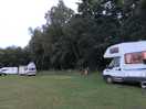 Motorhome and caravans along back line of site with trees