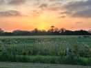 Glorious sunset