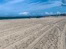 Local beach
