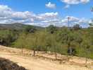 Vistas de la ruta a pie