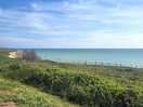 Walking views