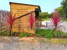 Lovely landscaping