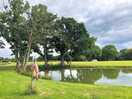 Pond