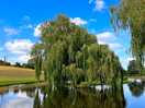 Golf club lake.