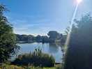 Early morning lake