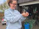 Baby chick