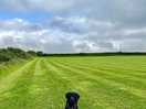 Field view