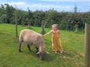 Kids loved the animals