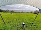 View from the tent