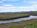 Towards the estuary
