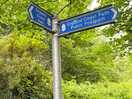 All the path