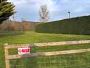 Site