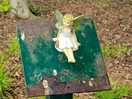 Eve found a fairy