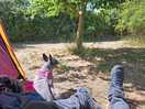 Nice spot sat in sun with plenty shade over for dog