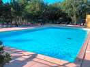 Lovely swimming pool