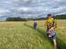Excellent footpaths
