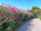 Walk down to beach