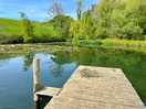 Pond