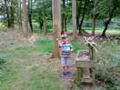 Mud kitchen in the woo