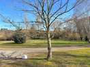 Site