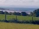 View from the site