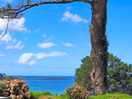 Blick vom campingplatz zum meer