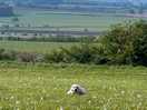 Enjoying the countryside