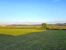 View across the downs