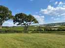 Veiw