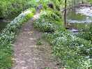 Walk from site