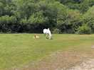 Walk to the pub