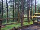 The cabin
