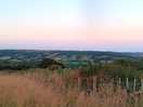 The view
