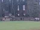 View from field of a stately home