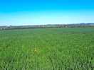 Walks