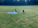 So much space for kids and dogs to play. a very clean site