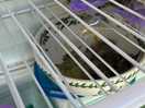 Mouldy food in the fridge.