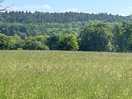 From dinton park