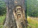 Lovely wood carving