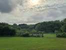 View from site