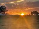 Beautiful sunset