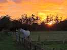 Beautiful sunsets
