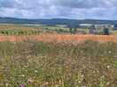 Walk to la roche