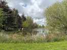 Our pitch overlooking the lovely lake