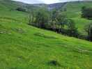 Scenic view not far from campsite