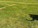 Large site. motorhomes parked had enough space around to set up tents, barbecue, dining etc.