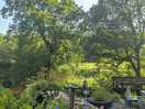 Another view from the inn