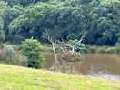 Fishing lake
