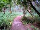 Entrance into our pitch.